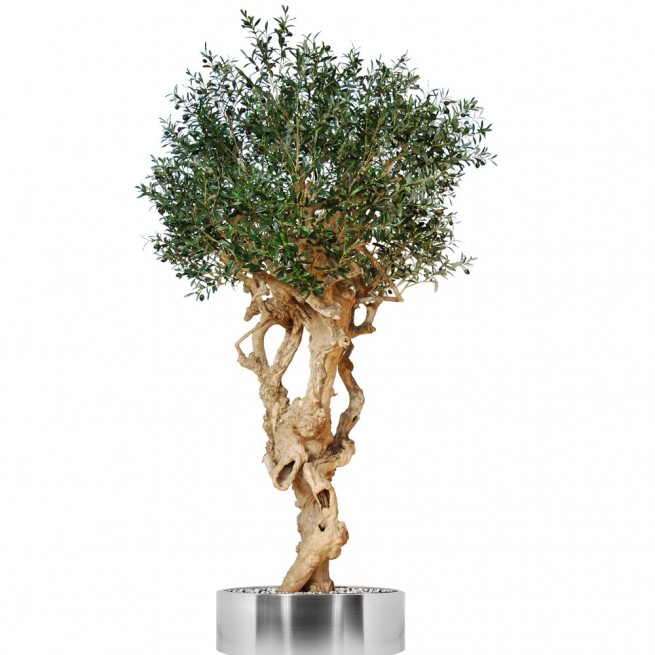 Planta semi-artificiala Ila, Olive Monolite Green - 320 cm